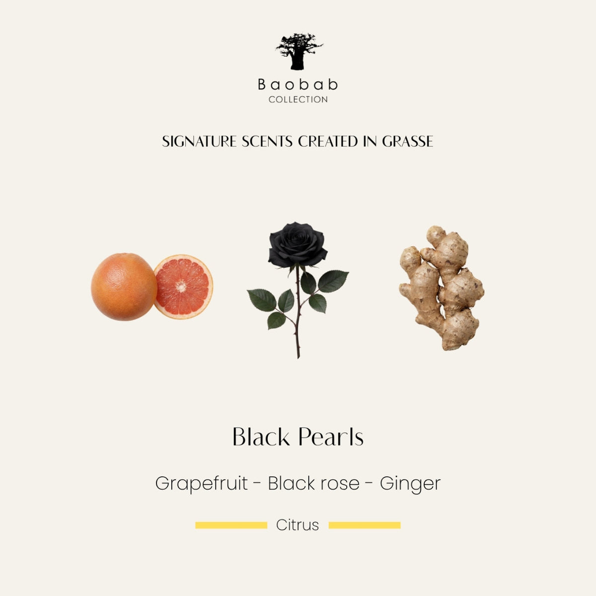 The Black Pearls Candle 16cm